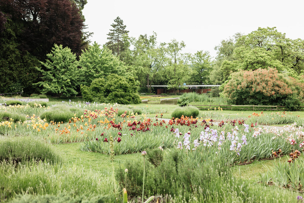 How to Find the Perfect Location for Your Family Photos in Zurich