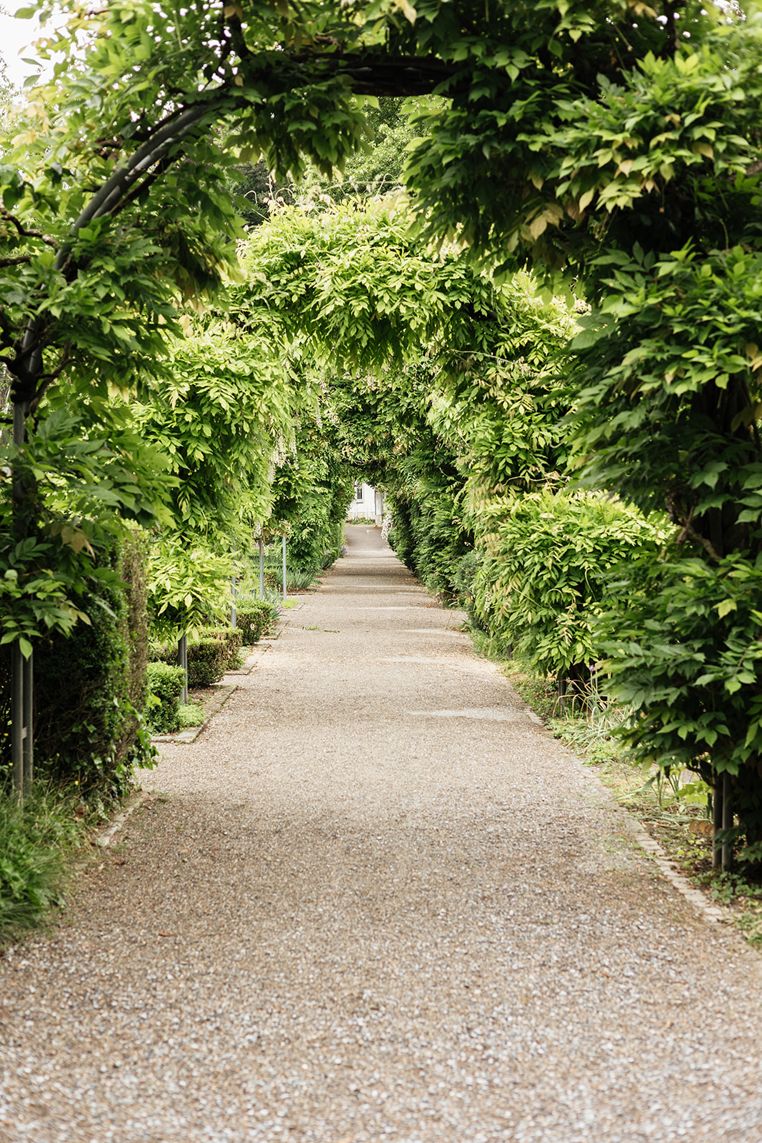 Best Locations in Zurich for Family Photos in 2025