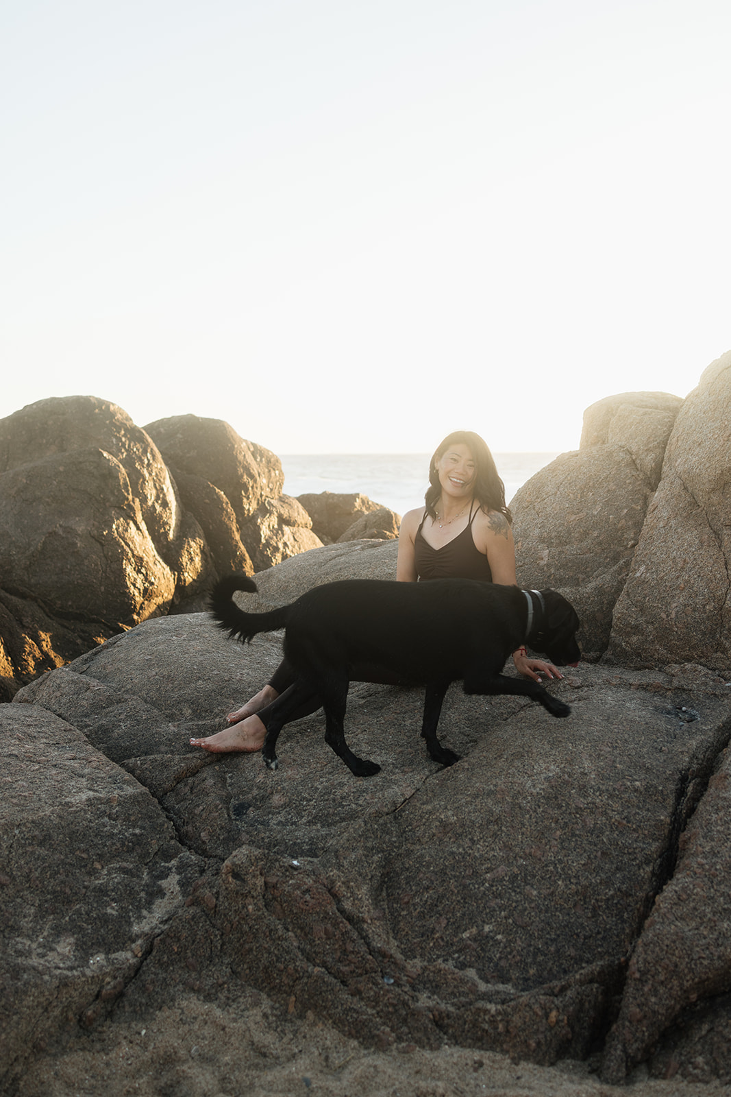 how to prepare your dog for a photoshoot porto salgueiros